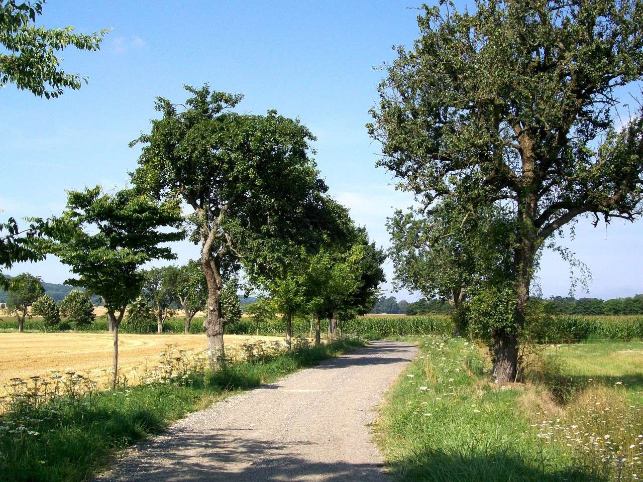 image d'illustration de l'immobilier à Mortefontaine 60128